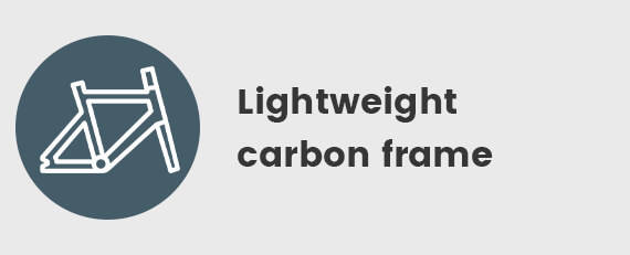 Lightweight Carbon Frame