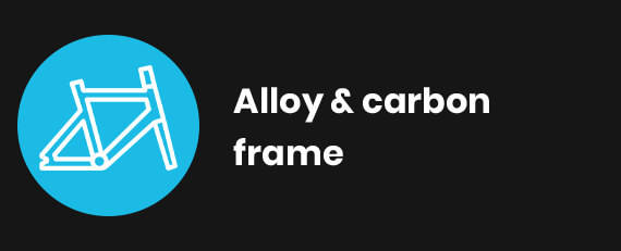 Carbon or Alloy Frame
