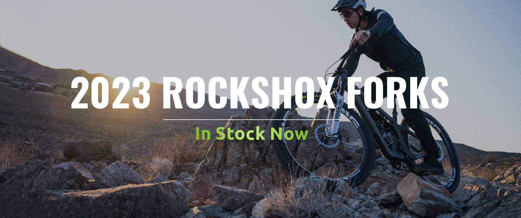 2023 Rockshox Forks
