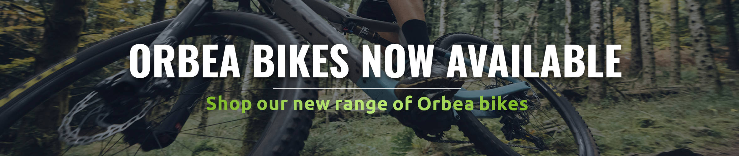 Orbea Bikes now available
